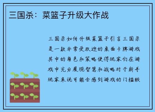 三国杀：菜篮子升级大作战